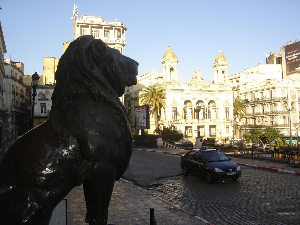 ORAN 2011 DECEMBRE Le lion.JPG